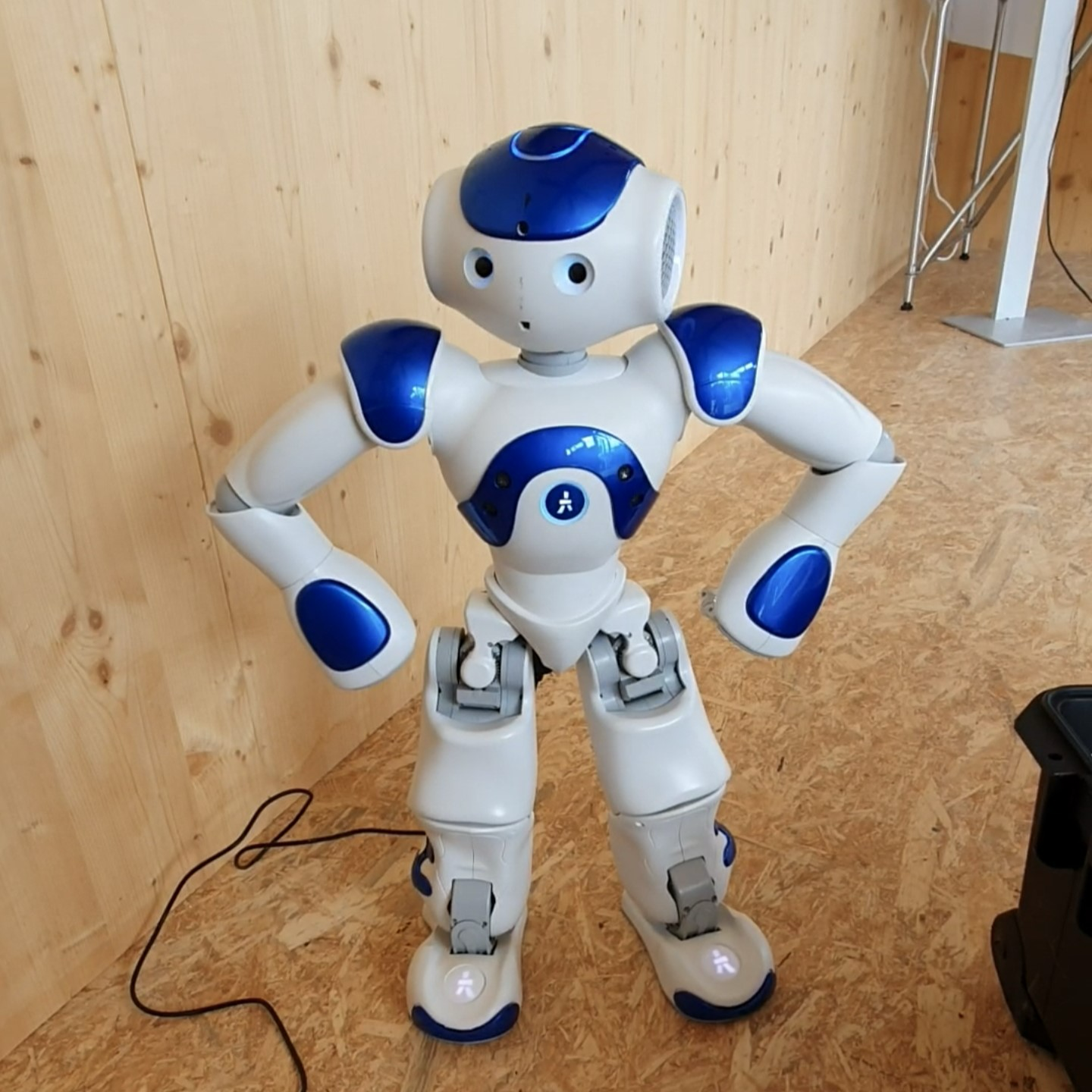 TH Ingolstadt Garden Show